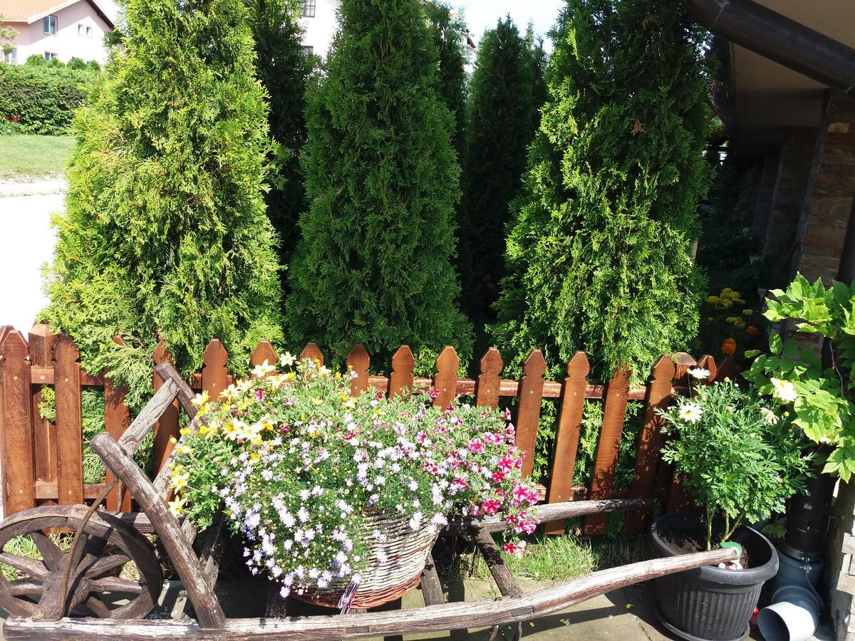 Centar! Masa Zlatibor Appartement Buitenkant foto